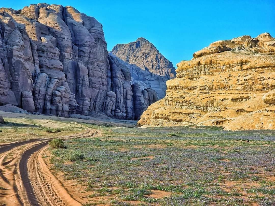 Lukasa Camp Wadi Rum Exterior foto